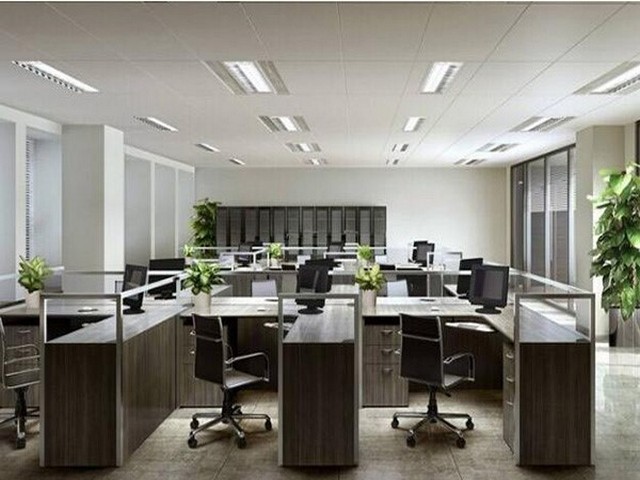 珠海古董联系方式